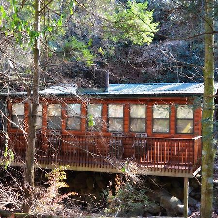فيلا شاليه فيليدجفي Little Creek Cabin المظهر الخارجي الصورة