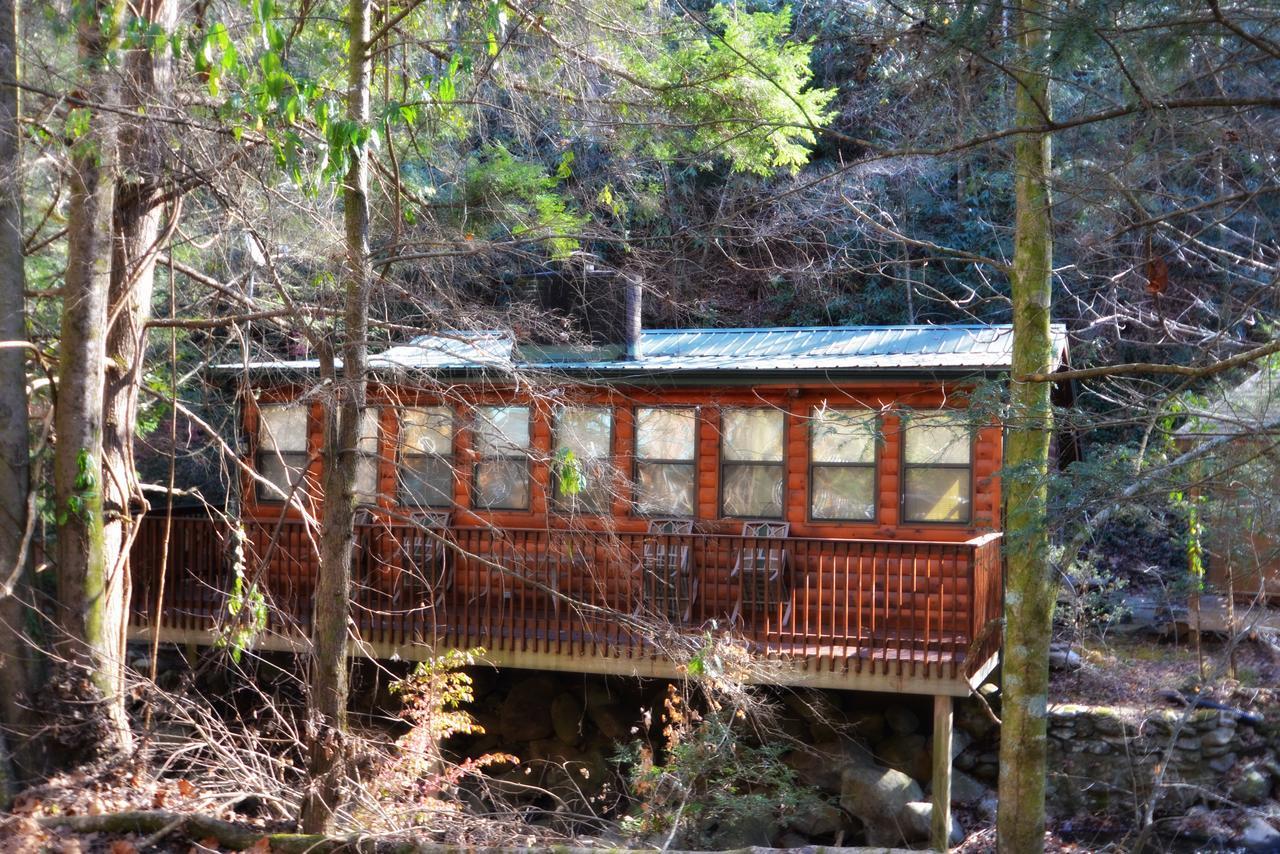 فيلا شاليه فيليدجفي Little Creek Cabin المظهر الخارجي الصورة
