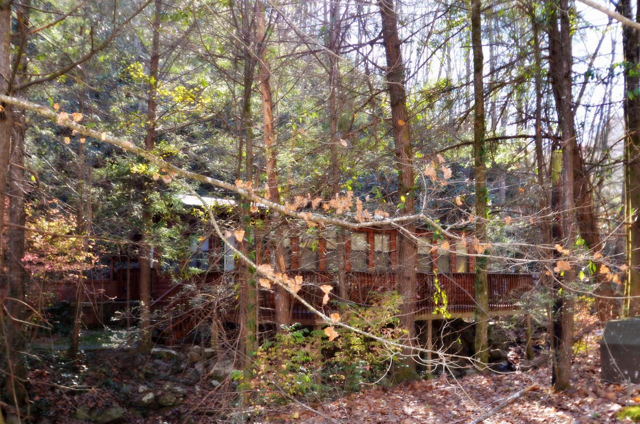 فيلا شاليه فيليدجفي Little Creek Cabin المظهر الخارجي الصورة