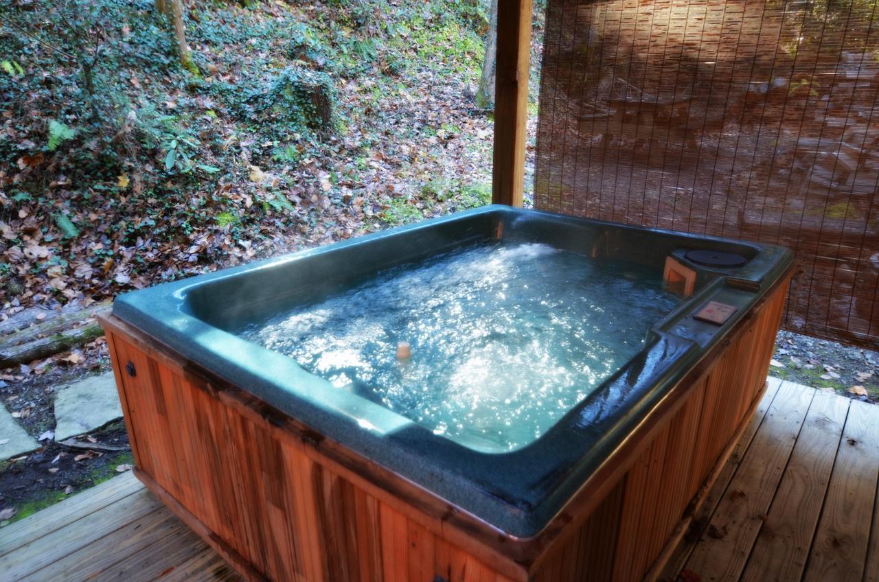 فيلا شاليه فيليدجفي Little Creek Cabin المظهر الخارجي الصورة